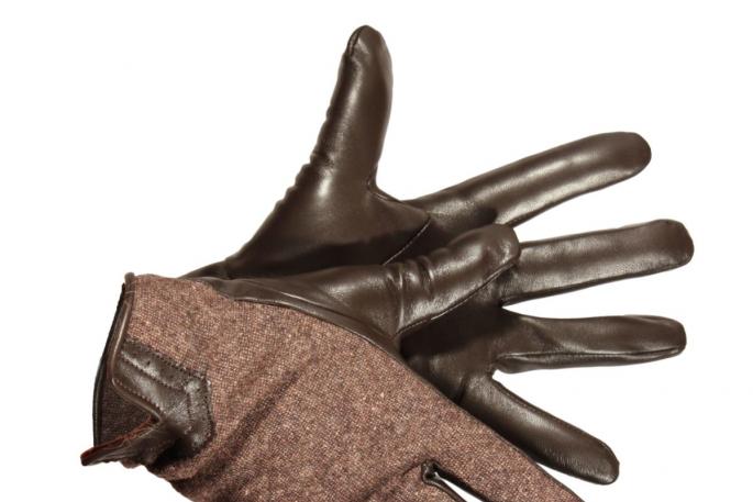 Ce înseamnă mănușile într-un vis - interpretare din cărțile de vis