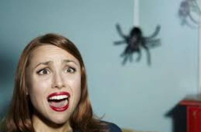 Pourquoi rêvez-vous de tuer une araignée ?