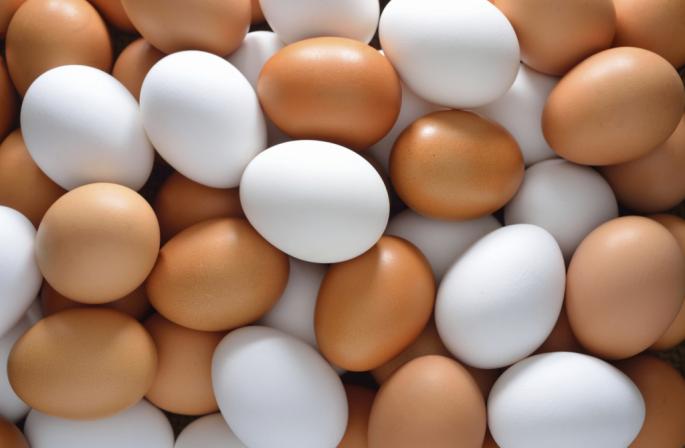 Pourquoi rêver d'œufs de poule?