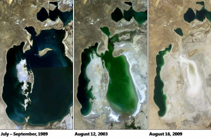 Lac d'Aral : description, emplacement, histoire et faits intéressants Quelles plantes poussent sur la mer d'Aral