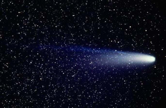 Enciclopedia escolar El cometa más famoso lleva el nombre de Galileo