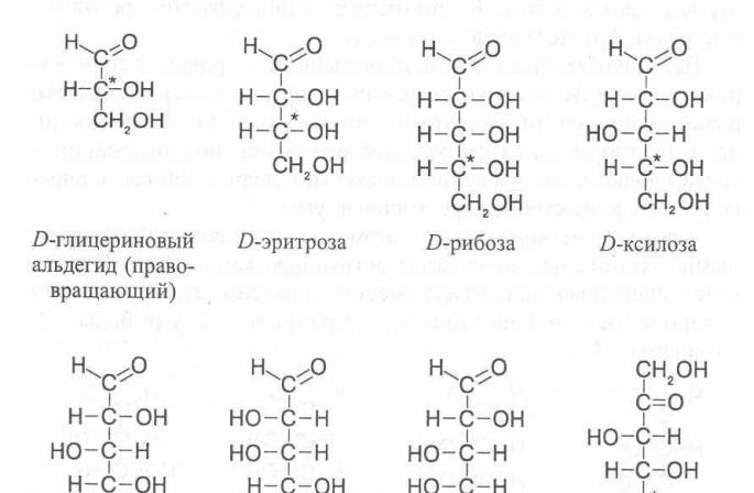 Structure des monosaccharides Exemples de pentoses
