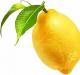 Fakta menarik tentang lemon, anak-anak dan lemon Fakta menarik tentang lemon untuk anak-anak